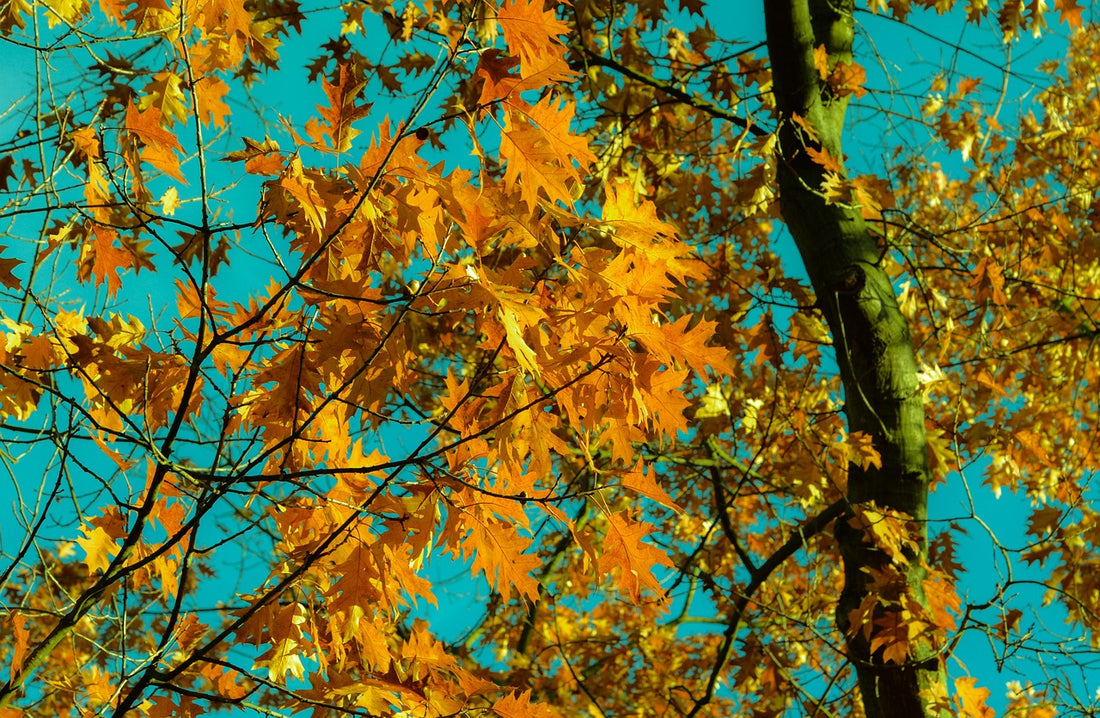 The Importance of your Hands as the Seasons Change
