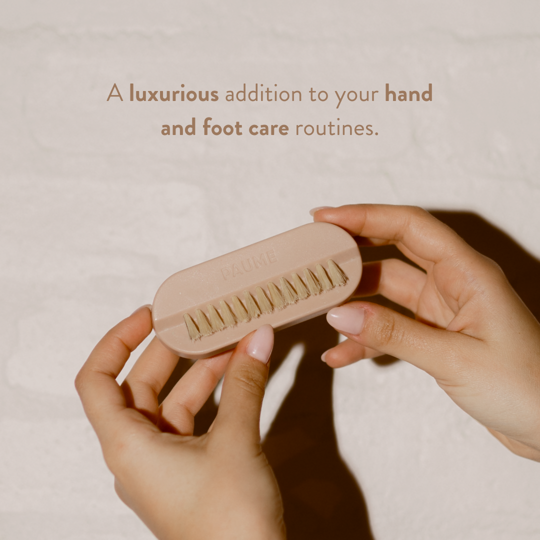 Hand & Nail Brush