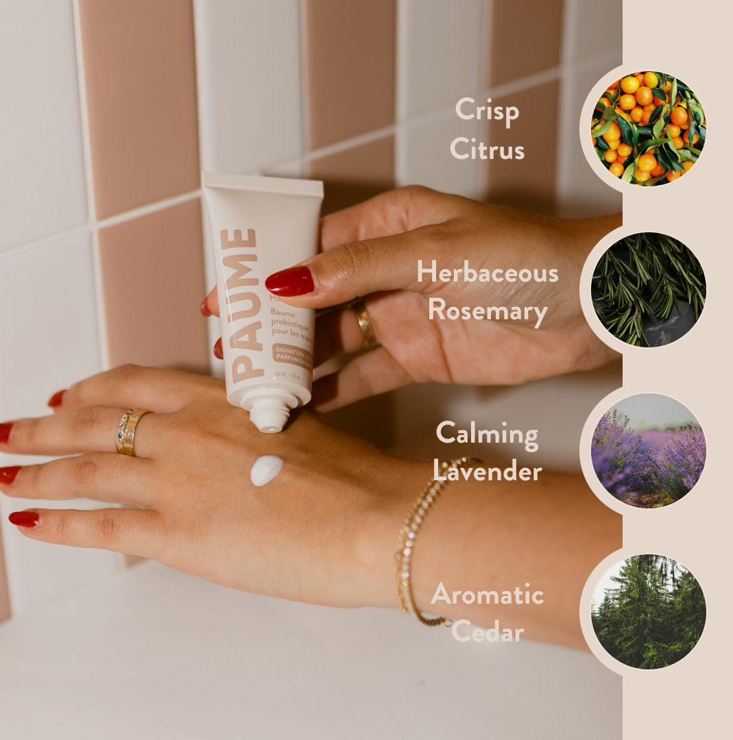 Day-to-Night Hand Care Set