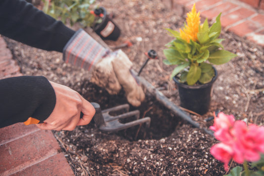 Hand Care Tips for Gardeners: Keeping Your Skin and Nails Beautiful